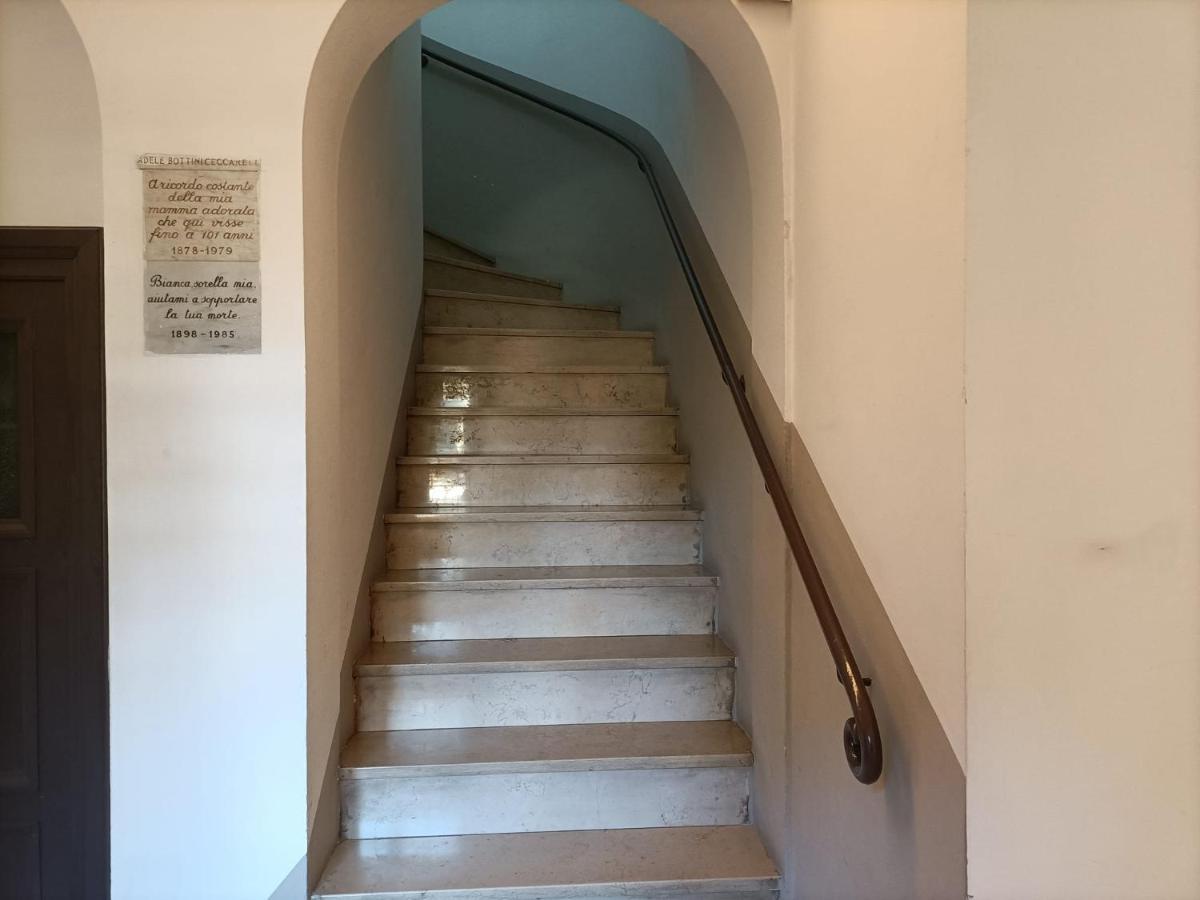 Beyond Colosseum Rom Eksteriør billede